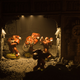 Illustration for article titled emWarhammer/em Miniatures Come to Life in These Amazing Photos